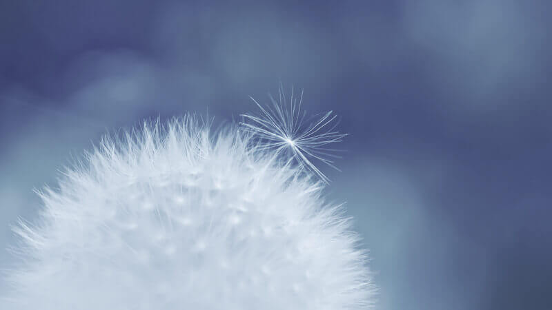 Zahnimplantate Konstanz - Private Zahnarztpraxis Dr. med. dent. Roland Horn MSc. & Kollegen