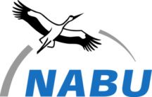 Nabu