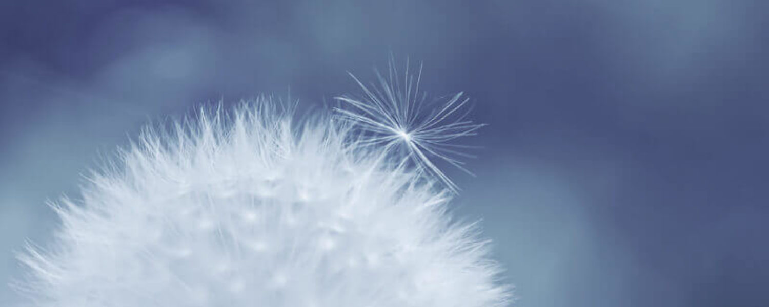 Zahnimplantat - Zahnarzt Konstanz - Private Zahnarztpraxis Konstanz